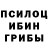 Галлюциногенные грибы мухоморы Christoffer skold