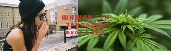 шишки Алексеевка