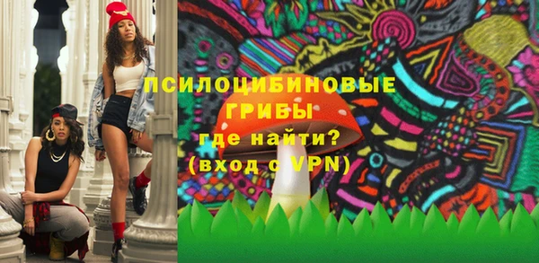 винт Алексин