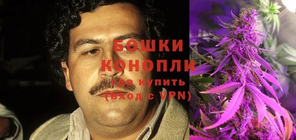 винт Алексин