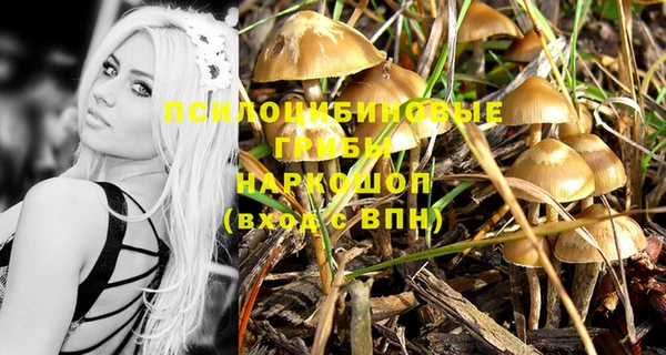 винт Алексин